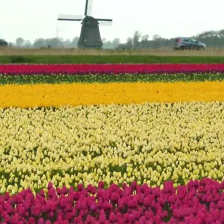 Дом отдыха Gemuetliches Ferienbungalow Mit Garten By Interhome