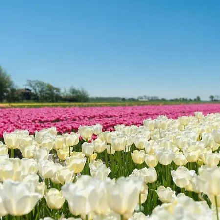 Дом отдыха Gemuetliches Ferienbungalow Mit Garten By Interhome *