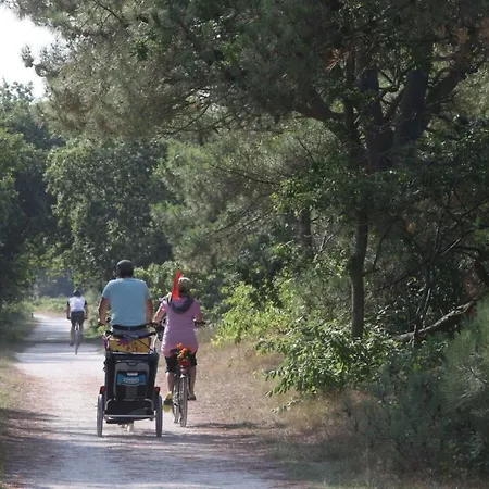 Gemuetliches Ferienbungalow Mit Garten By Interhome