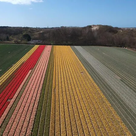 Дом отдыха Gemuetliches Ferienbungalow Mit Garten By Interhome