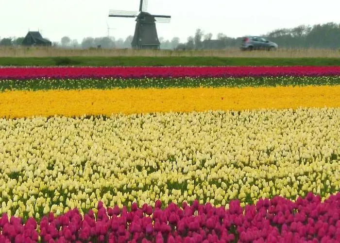 Holiday home Gemuetliches Ferienbungalow Mit Garten By Interhome