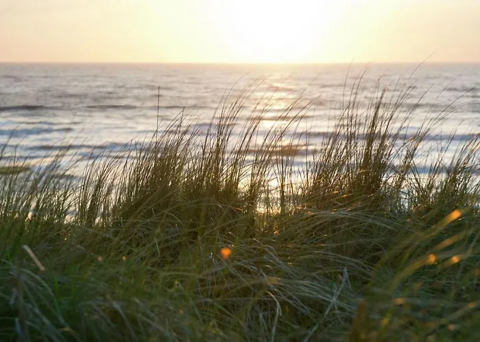 Gemuetliches Ferienbungalow Mit Garten By Interhome Holiday home Callantsoog