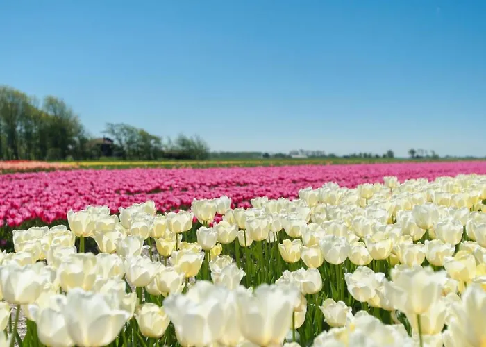 Holiday home Gemuetliches Ferienbungalow Mit Garten By Interhome *