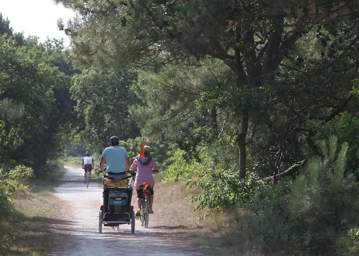 Gemuetliches Ferienbungalow Mit Garten By Interhome