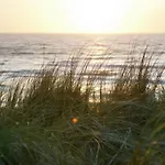 Gemuetliches Ferienbungalow Mit Garten By Interhome Σπίτι διακοπών Callantsoog